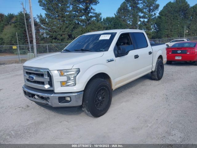 1FTEW1C81GFA16324 Ford F-150 Xlt/xl
