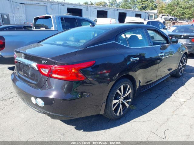1N4AA6AP1GC449461 Nissan Maxima 3.5 Sv