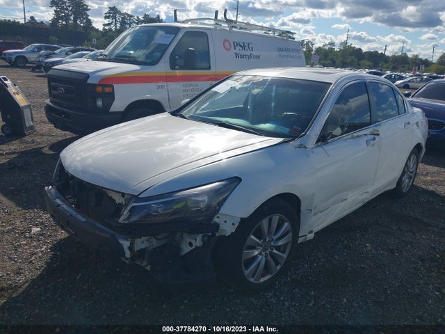 2011 HONDA ACCORD SDN EX-L VIN: 1HGCP2F80BA018434