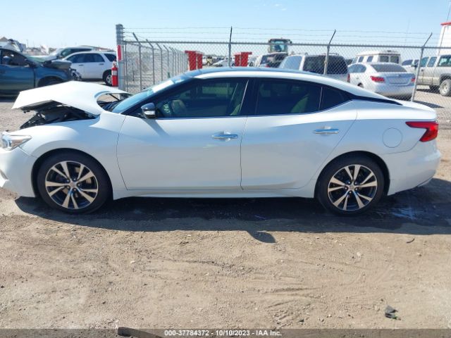 1N4AA6APXHC378360 Nissan MAXIMA SL
