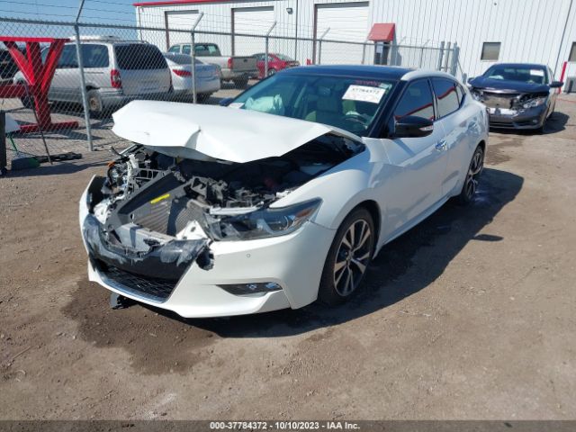 1N4AA6APXHC378360 Nissan MAXIMA SL