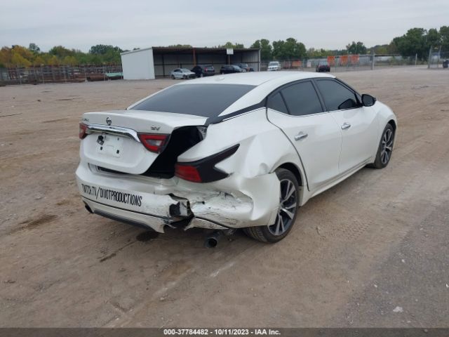 1N4AA6AP6GC429481 Nissan Maxima 3.5 Sv