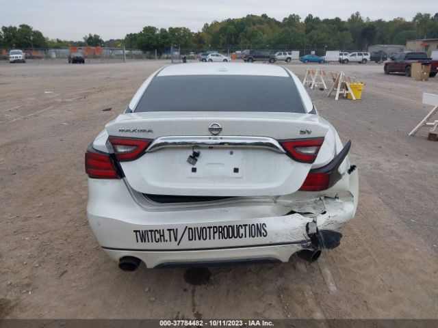 1N4AA6AP6GC429481 Nissan Maxima 3.5 Sv