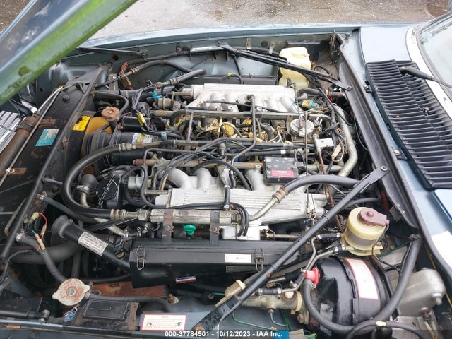 1986 JAGUAR XJS SAJNV5846GC128636 Photo 9