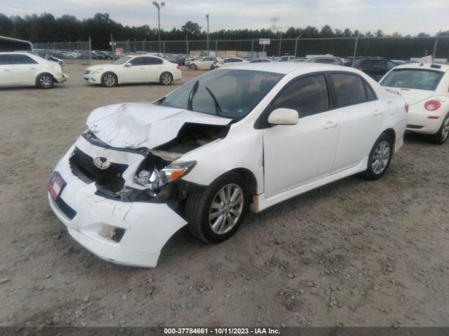 2010 TOYOTA COROLLA 1NXBU4EE6AZ200959 Photo 1