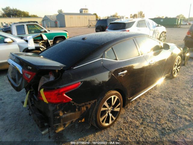 1N4AA6AP3GC449073 Nissan Maxima 3.5 Sv