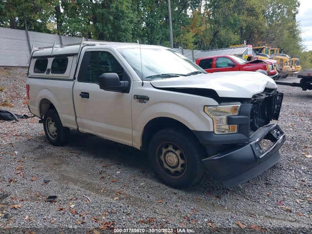 2016 FORD F-150 XL/XLT VIN: 1FTMF1C85GKF93005