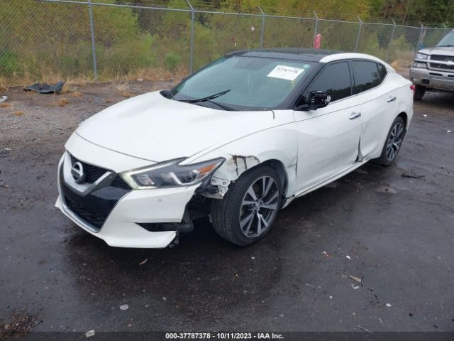 1N4AA6AP5GC906448 Nissan Maxima 3.5 Sl