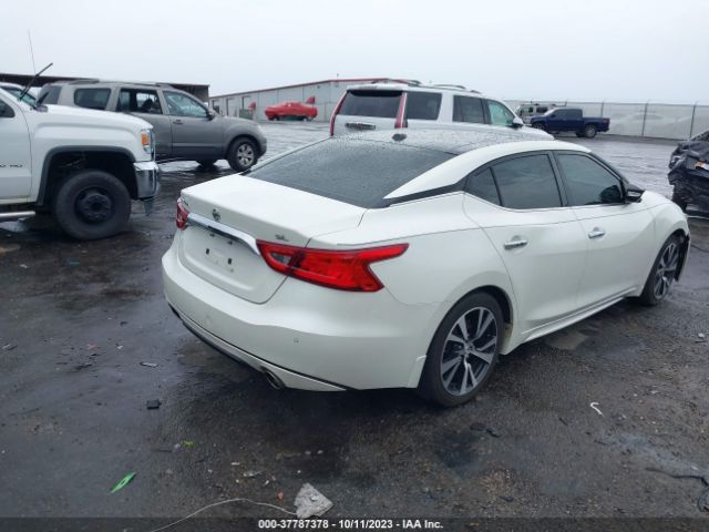1N4AA6AP5GC906448 Nissan Maxima 3.5 Sl