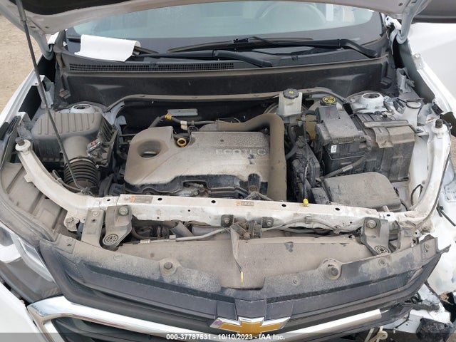 Chevrolet EQUINOX LS 2019 3GNAXHEV9KL120864 Image 10