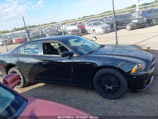 Dodge Charger Police 2014 2C3CDXAG6EH236522 Image 14