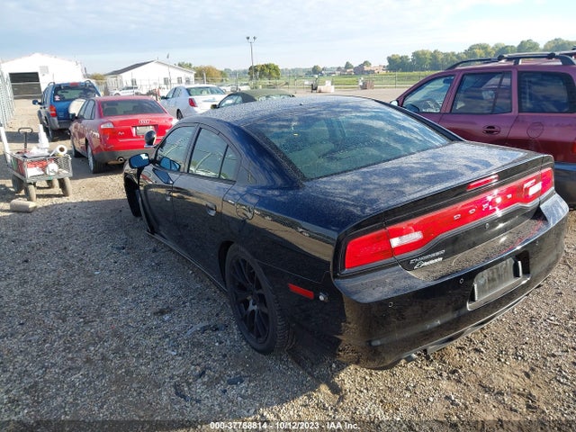 Dodge Charger Police 2014 2C3CDXAG6EH236522 Image 3