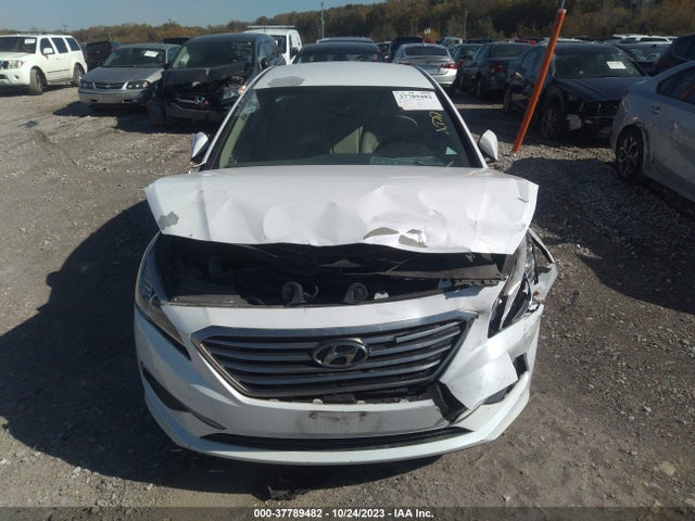 Hyundai Sonata 2.4l Se 2016 5NPE24AF7GH390084 Image 12