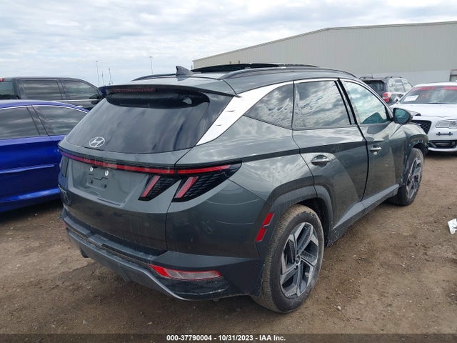 Hyundai Tucson Limited 2023 5NMJE3AE1PH184599 Image 4
