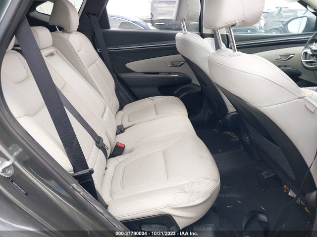 Hyundai Tucson Limited 2023 5NMJE3AE1PH184599 Image 8