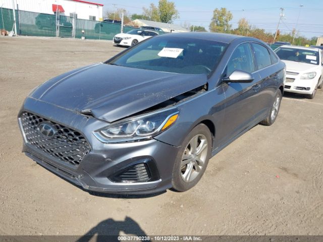 5NPE34AF5JH715366 Hyundai Sonata Sport+