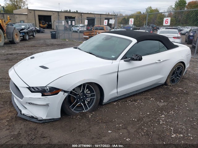 Ford Mustang Ecoboost 2023 1FATP8UH7P5103300 Image 2
