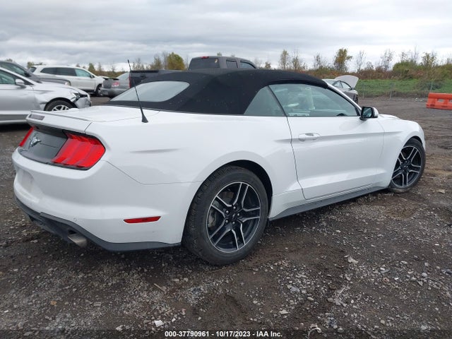 Ford Mustang Ecoboost 2023 1FATP8UH7P5103300 Image 4