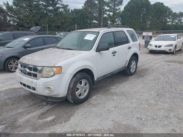 2011 FORD ESCAPE XLT VIN: 1FMCU0D73BKB36277