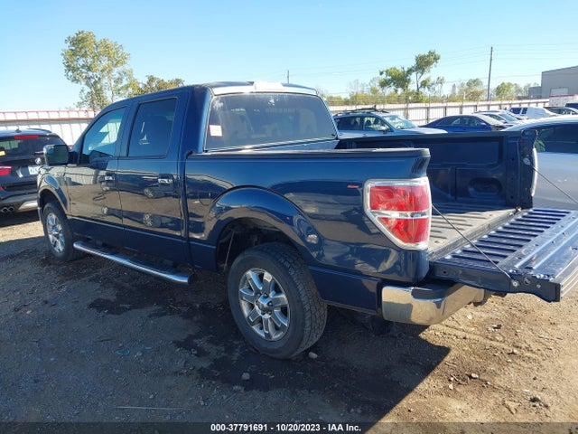 2013 FORD F-150 XLT VIN: 1FTFW1CF3DKD24102