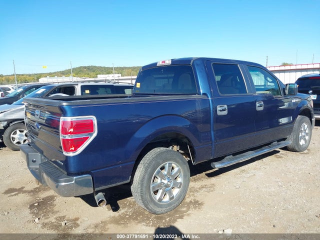 2013 FORD F-150 XLT VIN: 1FTFW1CF3DKD24102