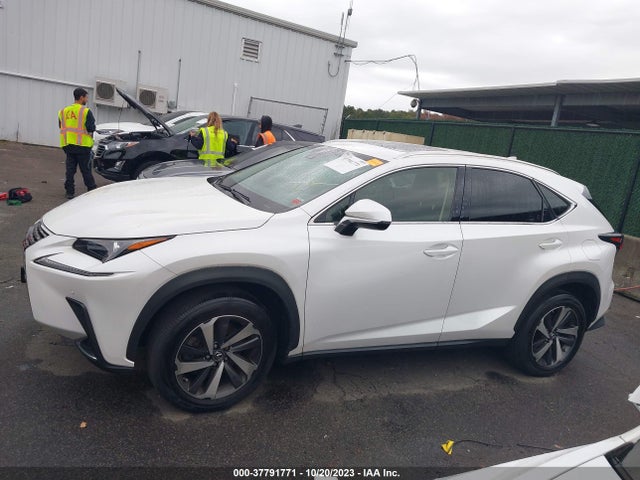 JTJBARBZ4K2183381 Lexus Nx Nx 300