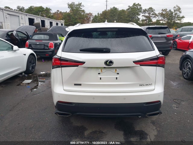 JTJBARBZ4K2183381 Lexus Nx Nx 300