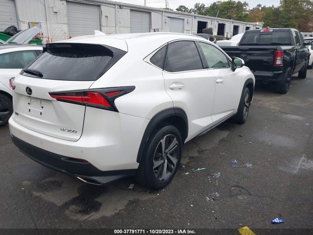 JTJBARBZ4K2183381 Lexus Nx Nx 300