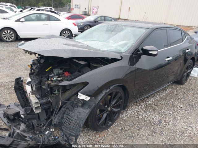 1N4AA6AP9HC416760 Nissan Maxima Sr