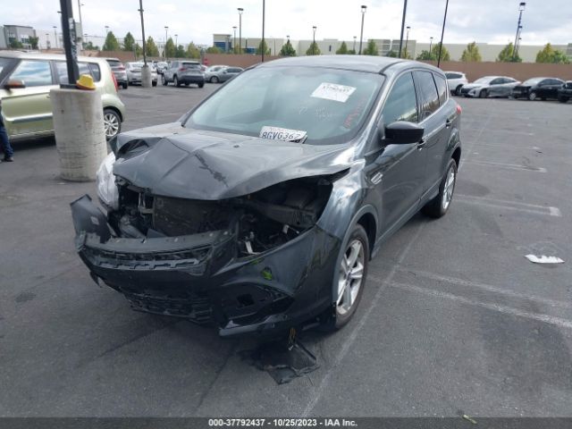 1FMCU0GXXGUA11705 Ford ESCAPE SE