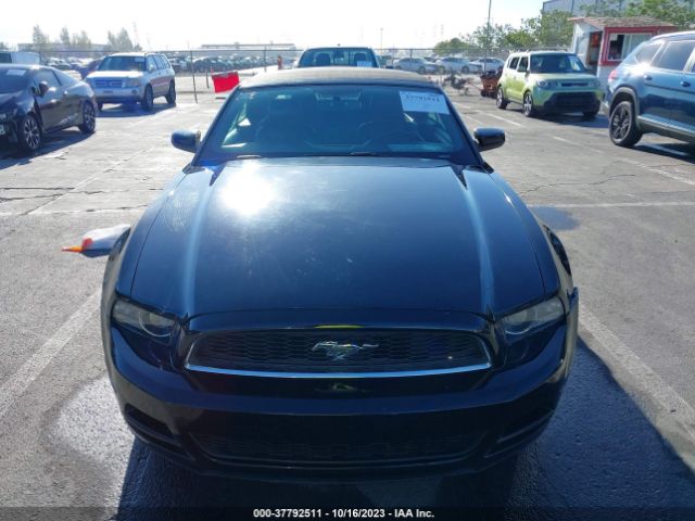 1ZVBP8EM3E5310875 Ford Mustang V6