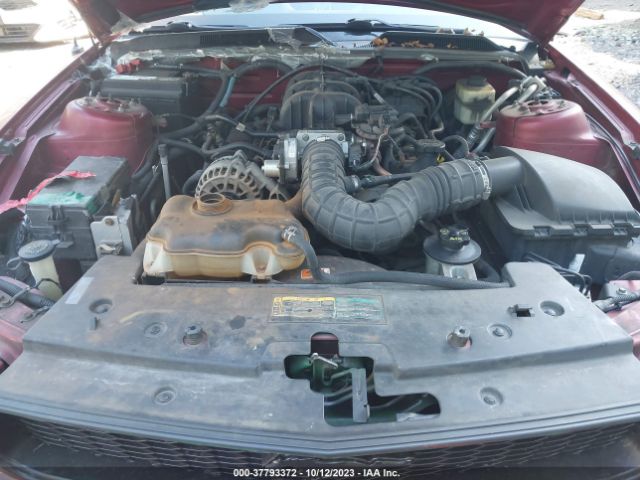 2007 FORD MUSTANG 1ZVFT84N975336794 Photo 9