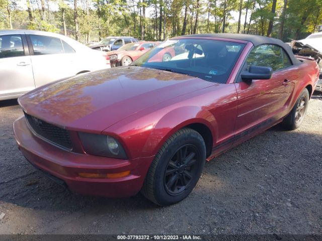2007 FORD MUSTANG 1ZVFT84N975336794 Photo 1