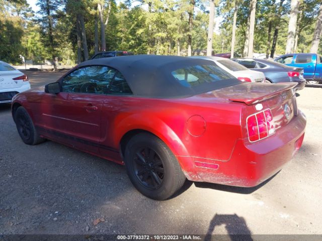 2007 FORD MUSTANG 1ZVFT84N975336794 Photo 2