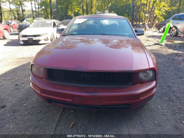 2007 FORD MUSTANG 1ZVFT84N975336794 Photo 5