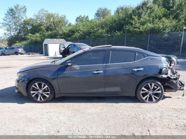 1N4AA6AP6HC399710 Nissan MAXIMA SL