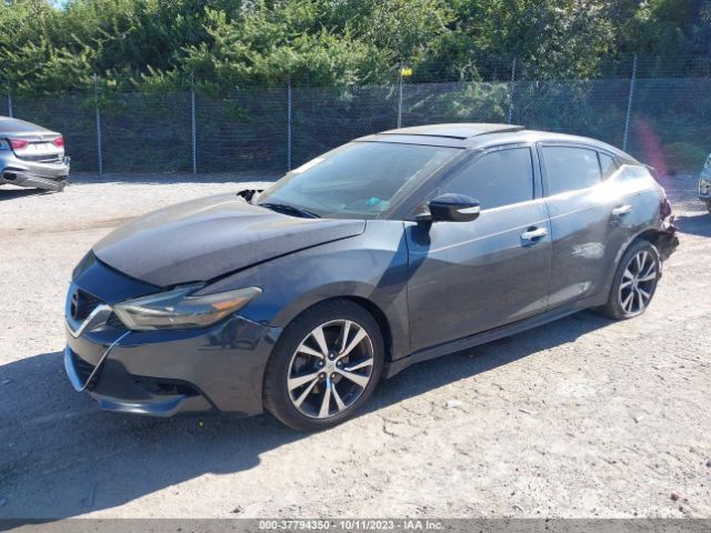 1N4AA6AP6HC399710 Nissan MAXIMA SL