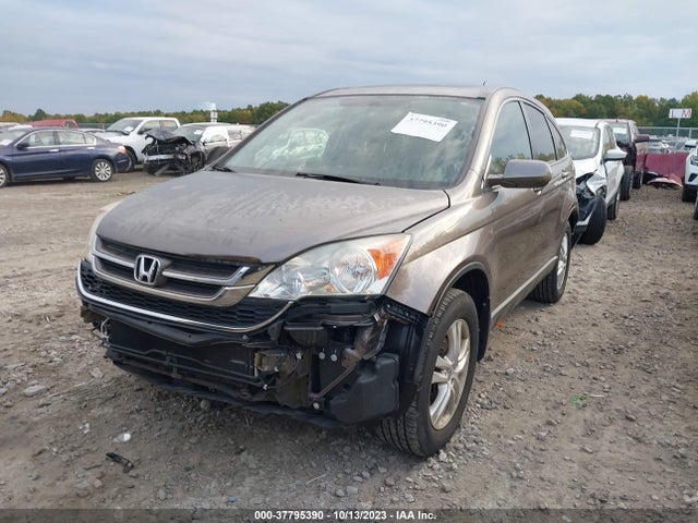 2010 HONDA CR-V EX-L VIN: 5J6RE4H73AL099327