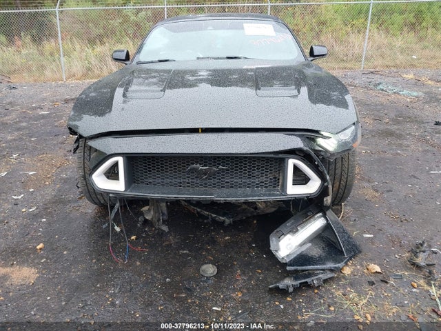 2019 FORD MUSTANG GT PREMIUM VIN: 1FA6P8CF8K5193997