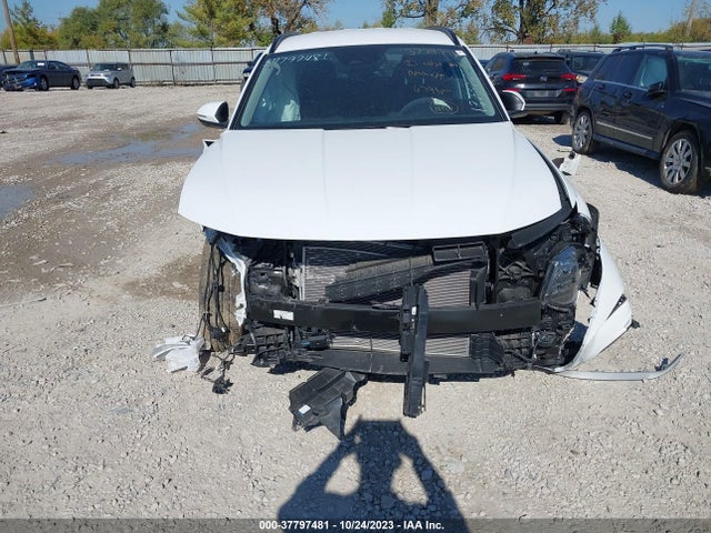 Hyundai TUCSON SEL 2023 5NMJBCAEXPH182326 Image 13