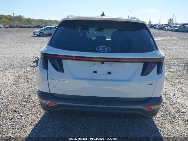 Hyundai TUCSON SEL 2023 5NMJBCAEXPH182326 Image 17