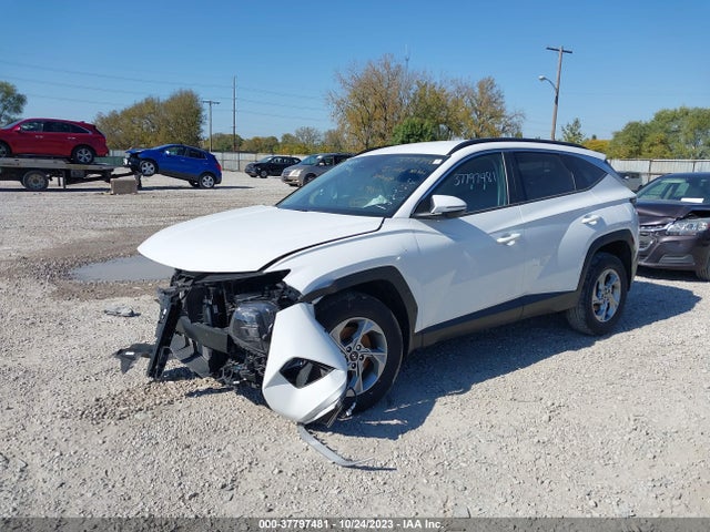 Hyundai TUCSON SEL 2023 5NMJBCAEXPH182326 Image 2