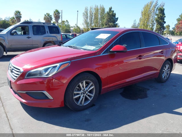 Hyundai Sonata 2.4l Se 2016 5NPE24AF3GH274865 Image 2