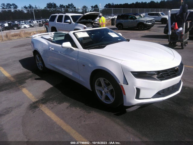 2019 1G1FB3DS3K0123837 main image