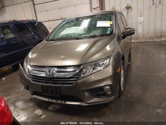 5FNRL6H70KB137124 Honda Odyssey Ex-l