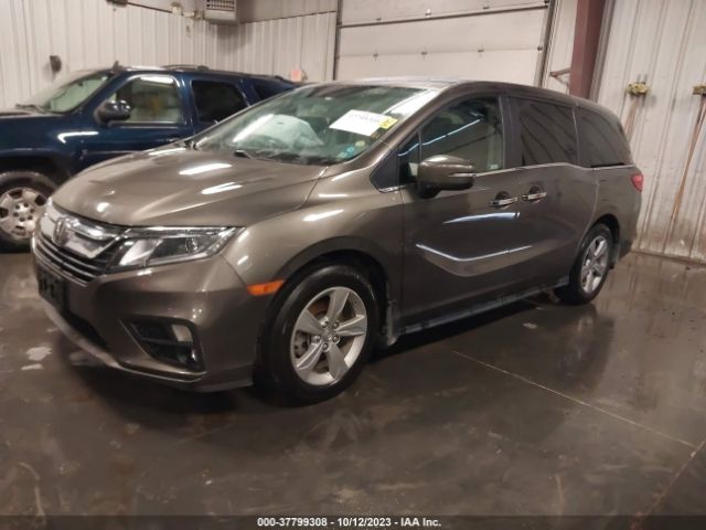 5FNRL6H70KB137124 Honda Odyssey Ex-l