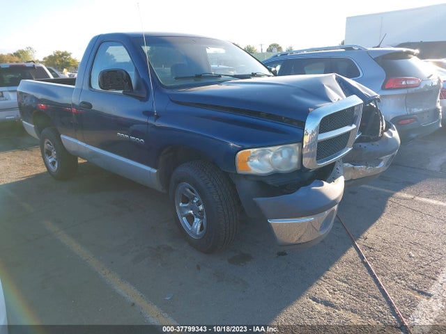 2002 DODGE RAM 1500 VIN: 1D7HA16NX2J230494