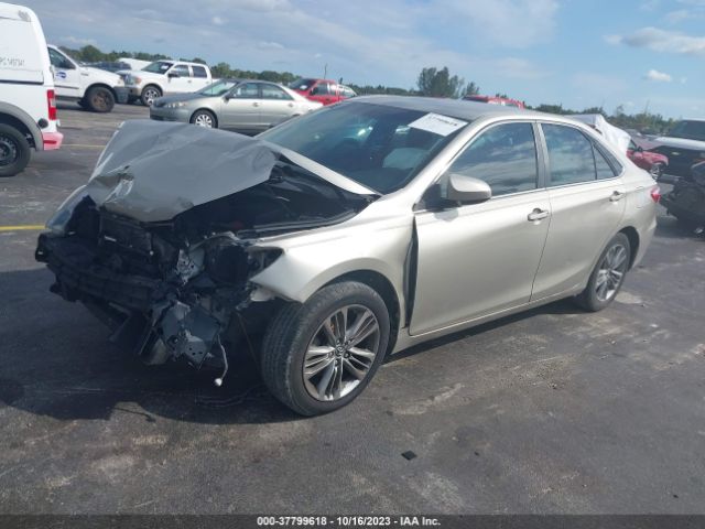 4T1BF1FK1GU218467 Toyota CAMRY SE
