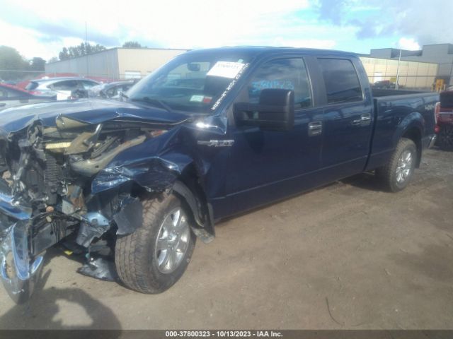 1FTFW1EF3EFA97873 Ford F-150 Xl/xlt/stx/fx4/lariat