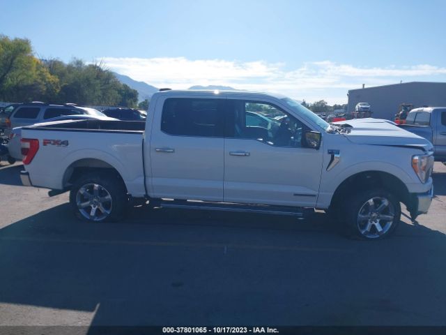 1FTFW1ED1MFD05598 Ford F-150 Lariat